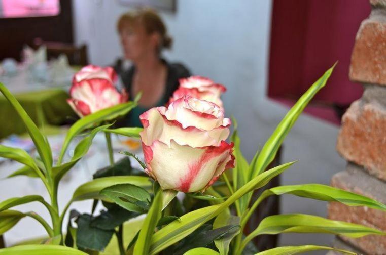 Casa De Las Rosas Cuenca Quarto foto